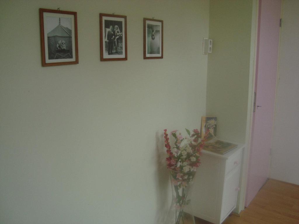 Rise & Shine Villa Katwoude Room photo